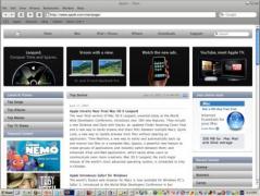 Safari Browser Screenshot