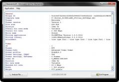 MediaInfoXP Screenshot