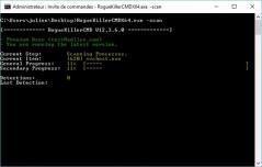 RogueKillerCMD Screenshot