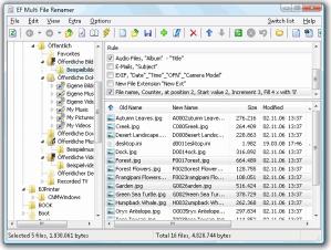 EF Multi File Renamer Screenshot