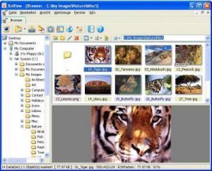 Portable XnView Screenshot