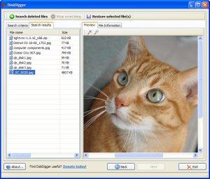 DiskDigger Screenshot