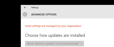 Updates Organization Settings