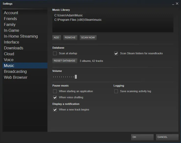 Steam Music Settings